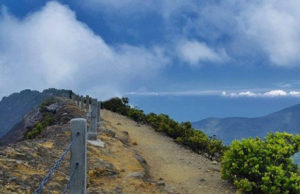 Next Trip Gunung Gede Pangrango Gunung Gede Pangrango