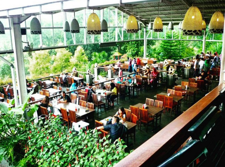 cimory-via-nat_trs