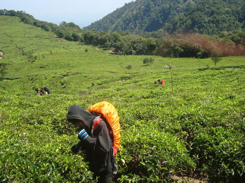 Gunung-Ungaran-Foto-oleh-Edoardus-Dito-Primandaru-